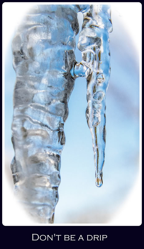 Drip by MaryAnne Rocan